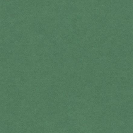 FORESCOLOR MDF-Platten grün