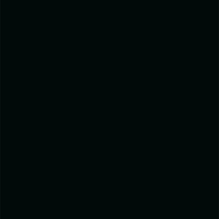 ABET Kitchenworktop 2902 POLARIS Noir Pol, Kern Schwarz