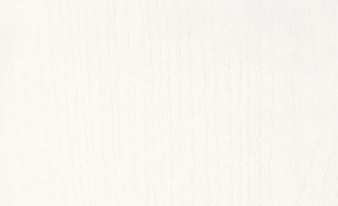 Meister Dekorpaneele Bocado 200 Classic-Weiss DF387  