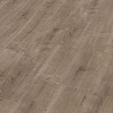 Meister Laminatboden Fine Oak 6672