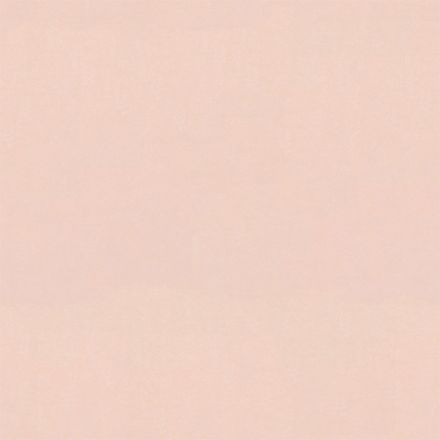 Archisonic Rohplatte 102 Shell Pink