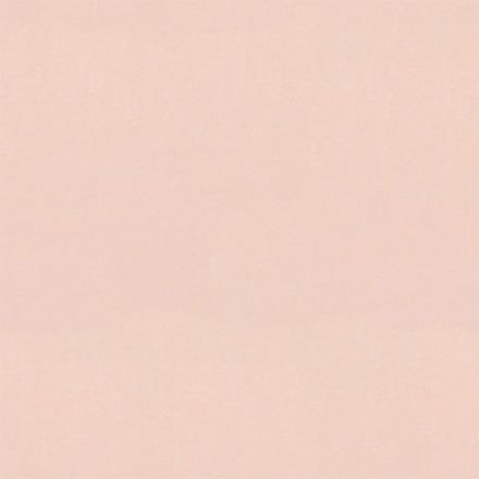 Archisonic Rohplatte 102 Shell Pink 