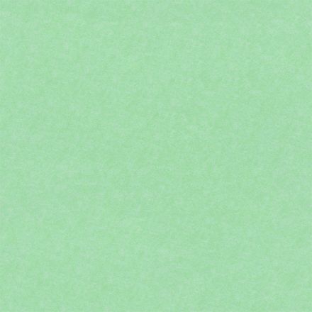 Archisonic Rohplatte 706 Spearmint 