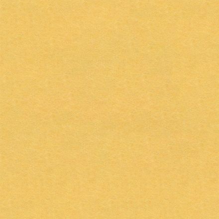 Archisonic Rohplatte 846 Sunshine