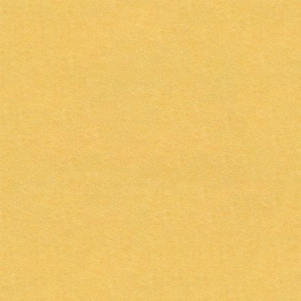 Archisonic Rohplatte 846 Sunshine 