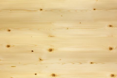 Decklage Fichte Ast