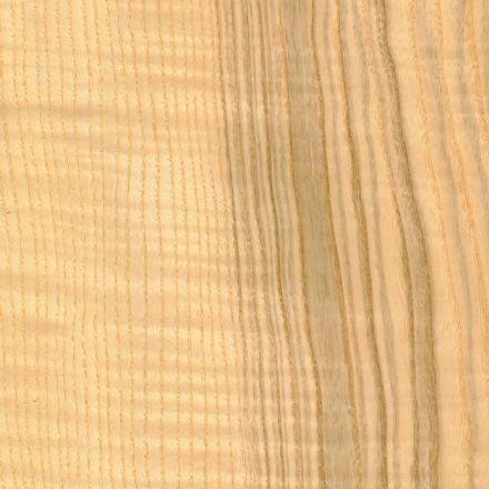 Furnier Esche Oliv Riegel