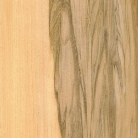 Furnier Satin Walnut